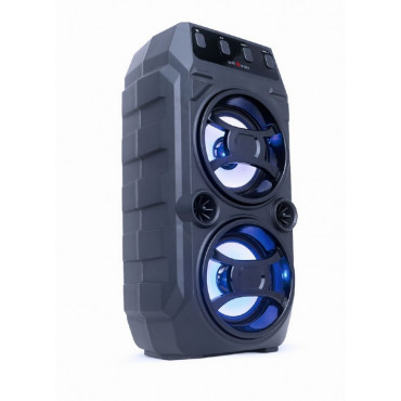 SPK-BT-13: Bluetooth Party speaker with karaoke function