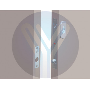 Electromechanical safety lock - Fail Secure (NO) aperture mode - Retention force 1000 Kg - Door status sensor - Programmable self-closing - Euro Cylinder included (with keys)