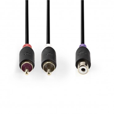 CABW24020AT02: Subwoofer cable | 2x RCA male - RCA female | 0.2 m | Anthracite